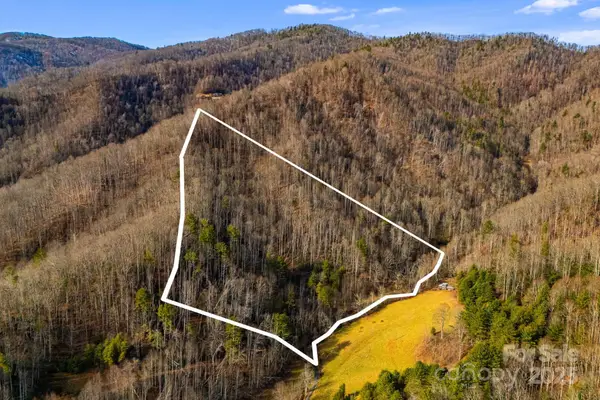 TBD Lost Hollow Road, Burnsville, NC 28714