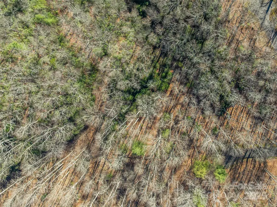 TBD Ladys Fern Trail #9, Laurel Park, NC 28739 - Image #2