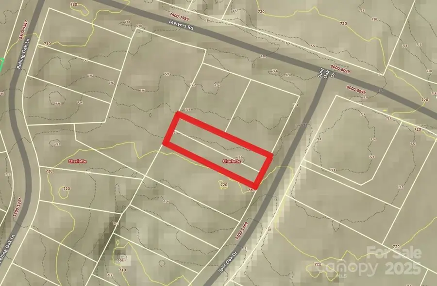 5329 Split Oak Drive, Charlotte, NC 28227 - Image #2