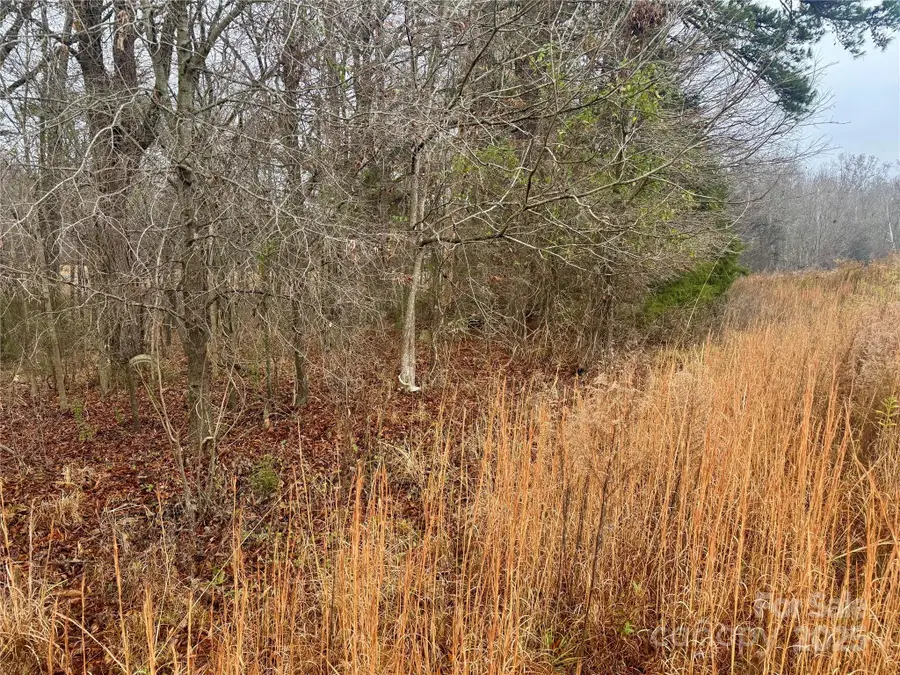 Lot 1B Mallory Lane #1B, Mount Pleasant, NC 28124 - Image #2