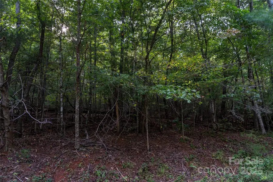 0 Swans Way E #249&250, Lake Lure, NC 28746 - Image #2