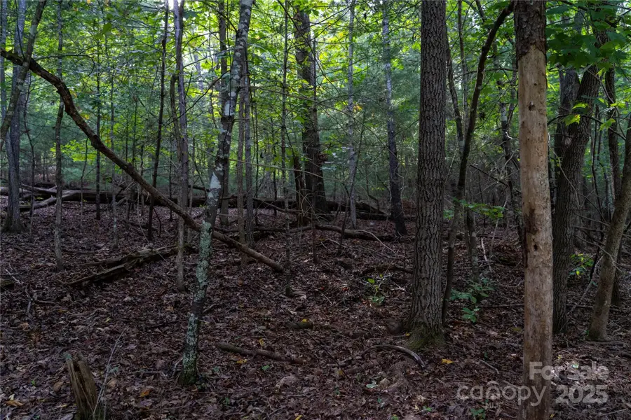 0 Swans Way E #249&250, Lake Lure, NC 28746 - Image #3