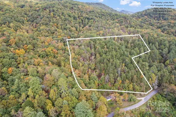 99999 Chastain Road, Scaly Mountain, NC 28775