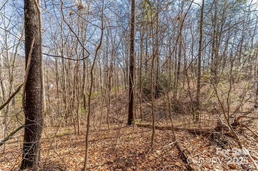 99999 Mill Road, Asheville, NC 28805 - Image #3