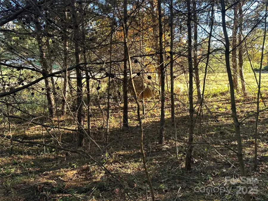 0 Rock Ledge Drive #339, Lake Lure, NC 28746 - Image #3