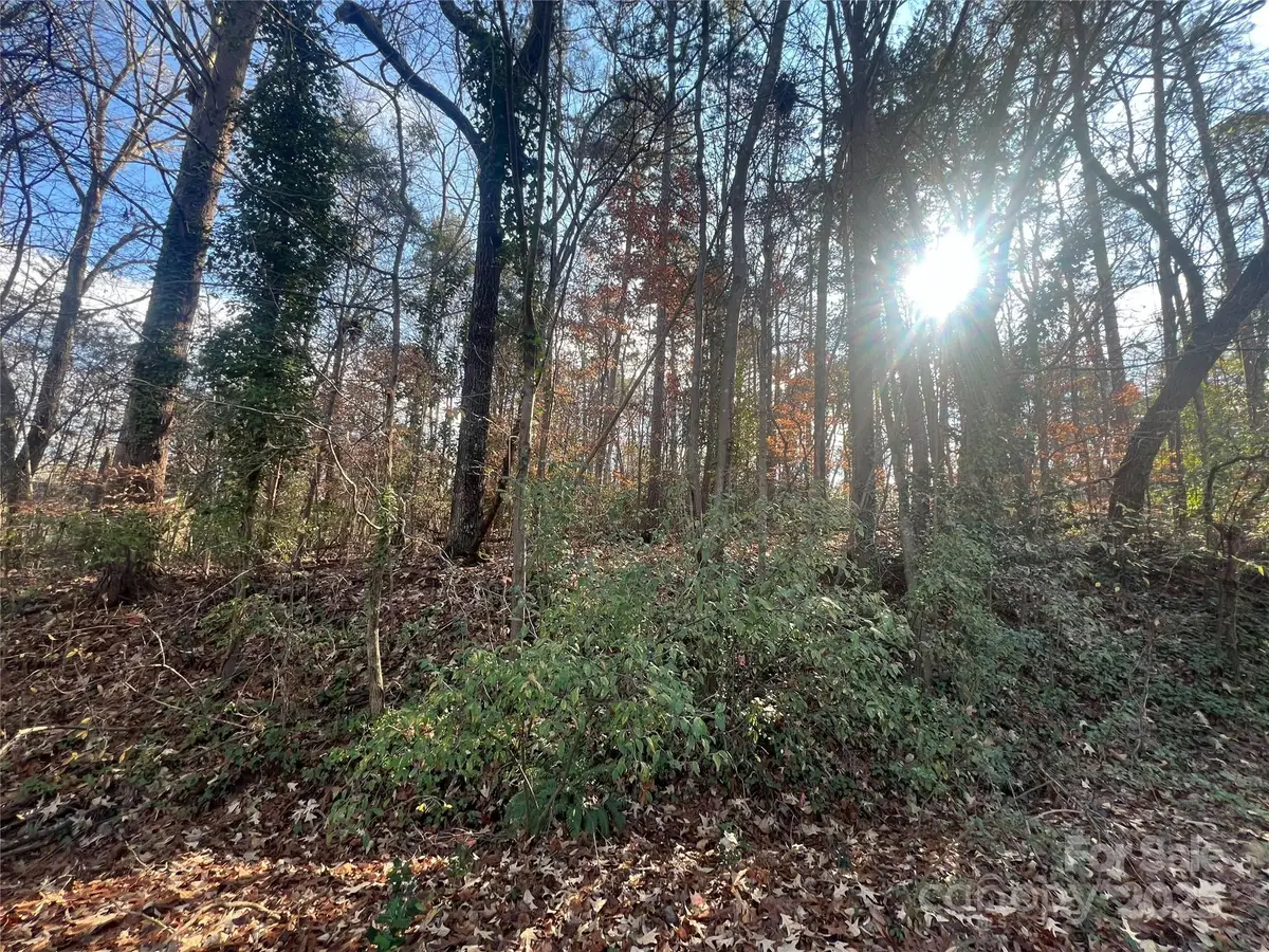 5011 Dorothy Ruth Lane, Belmont, NC 28012 - Image #1