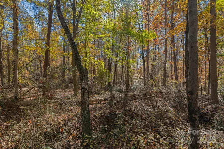 0000 Bud Davis Road #4, Vale, NC 28168 - Image #3