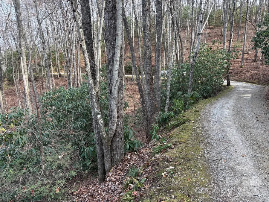 Lot 5 Mt Tabor Road, Topton, NC 28781 - Image #3