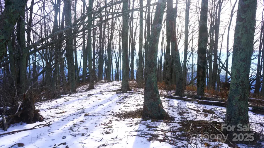 SR-1386 W Sang Branch, Hog Branch Road W, Egypt, NC 28719 - Image #3