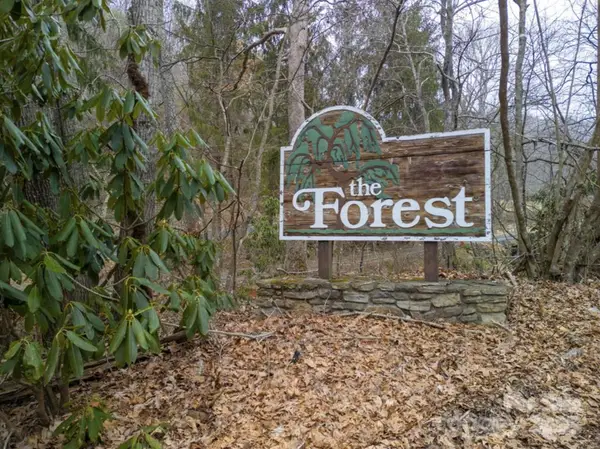 00 Seasons Drive #Lot 43, Clyde, NC 28721