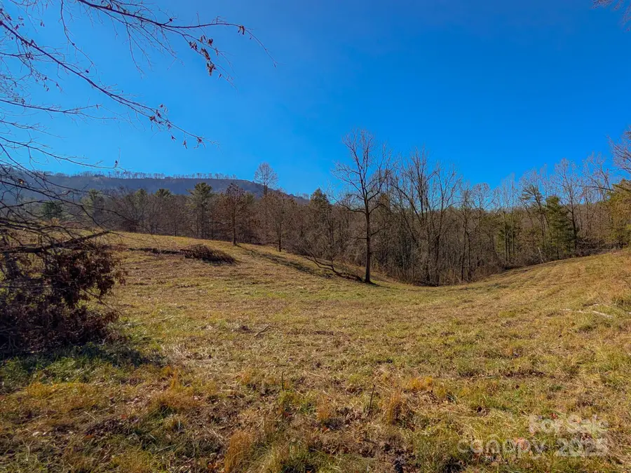 00000 Bluff Cove Road, Weaverville, NC 28787 - Image #2