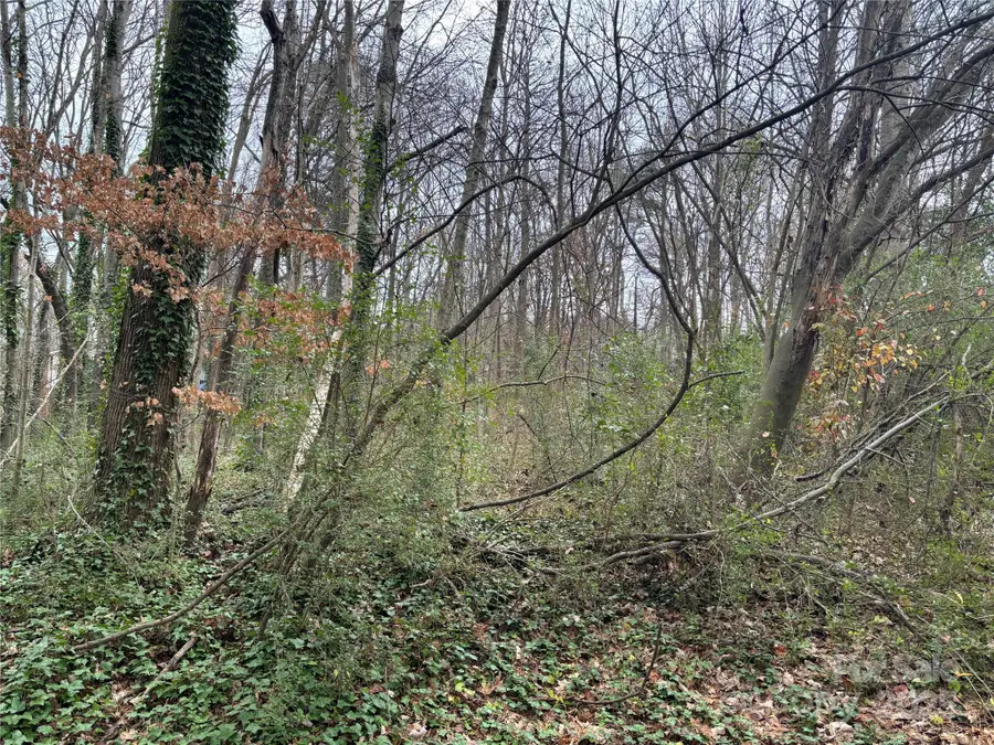 401 Woodhaven Street, China Grove, NC 28023 - Image #2