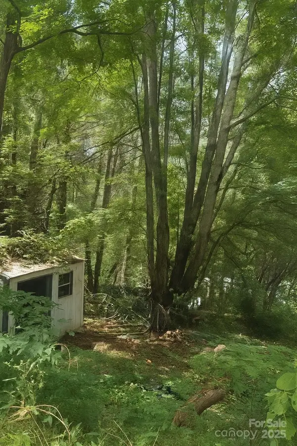 32 Windy Hill Lane, Canton, NC 28716