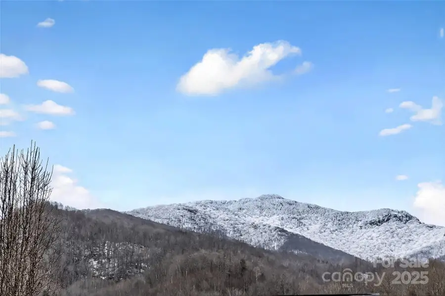 12231 N 226 Highway, Bakersville, NC 28705 - Image #2