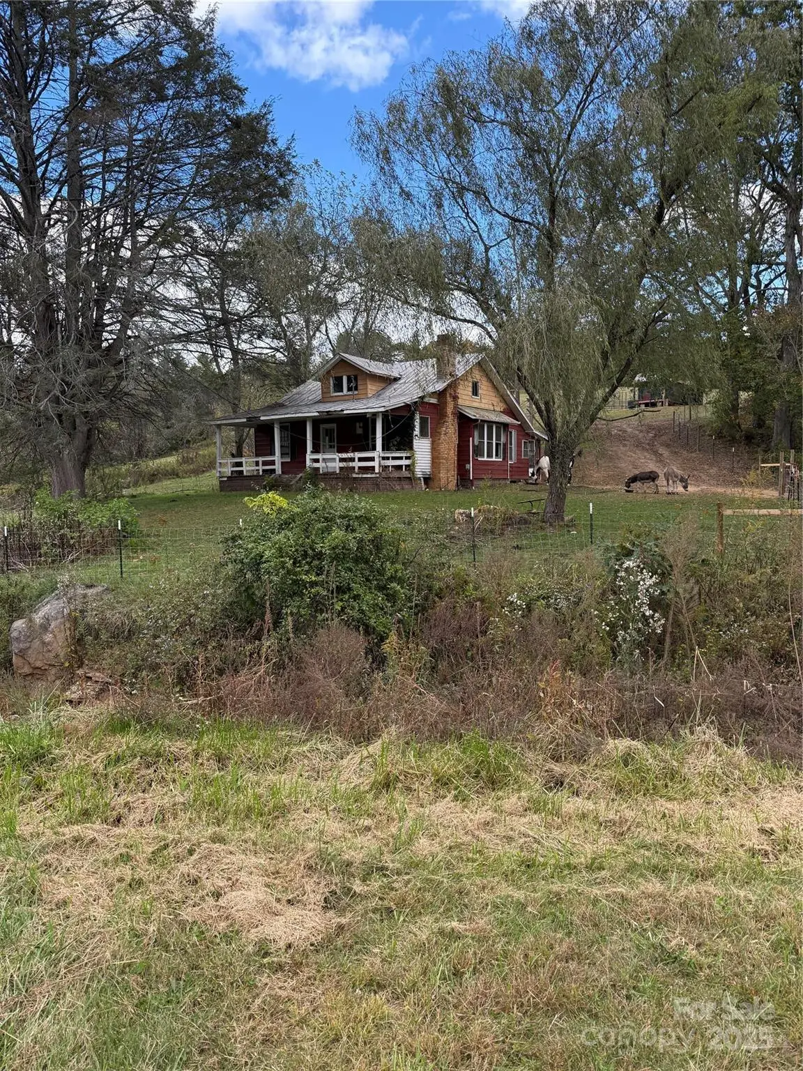 49 Loggy Hollow Road, Bakersville, NC 28705 - Image #1