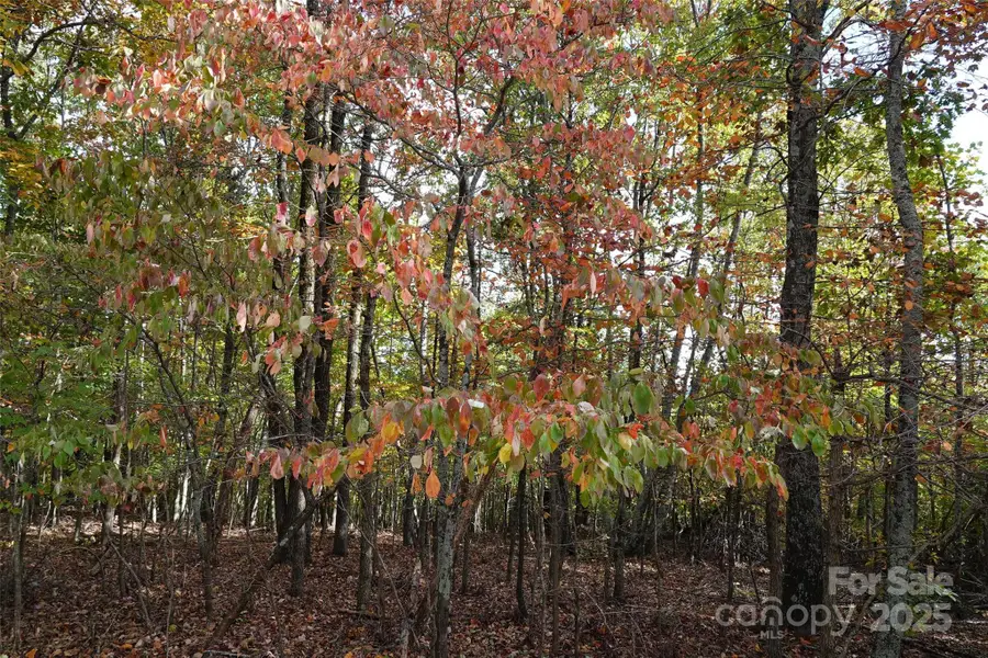 69 Adirondack Lane, Bostic, NC 28018 - Image #3