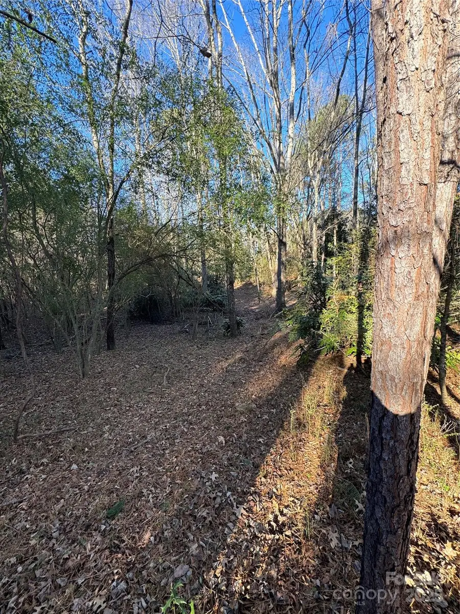 0000 Dogwood Lane #LOTS 4/5, Badin, NC 28009 - #2