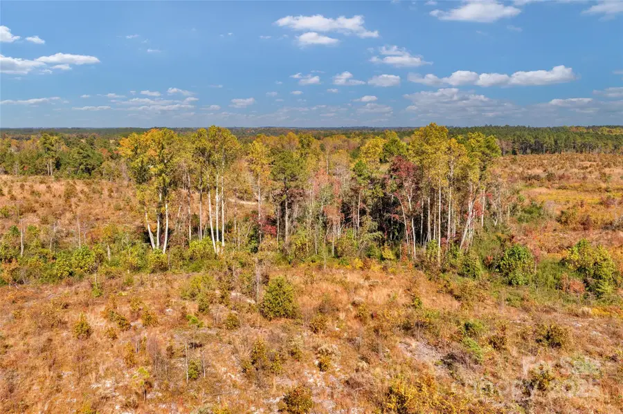 0000 Riley Road #4, Chesterfield, SC 29709 - Image #3