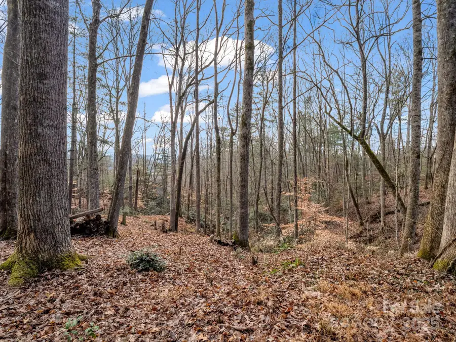 17 Maple Leaf Drive, Hendersonville, NC 28792 - Image #2