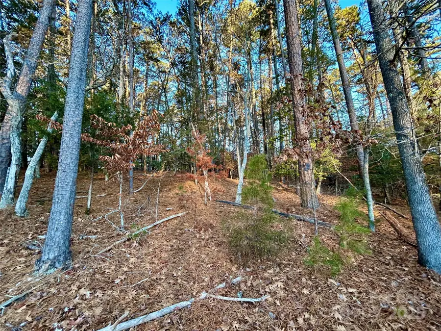 000 Shagbark Court, Mount Gilead, NC 27306 - Image #3