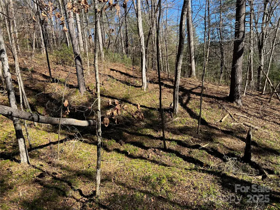 147 Falling Leaves Lane #50, Hendersonville, NC 28792 - Image #2