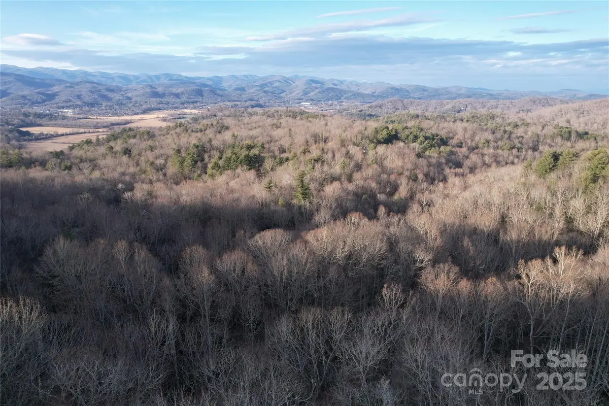 TR-17 Double Falls Road #17, Pisgah Forest, NC 28768 - Image #1