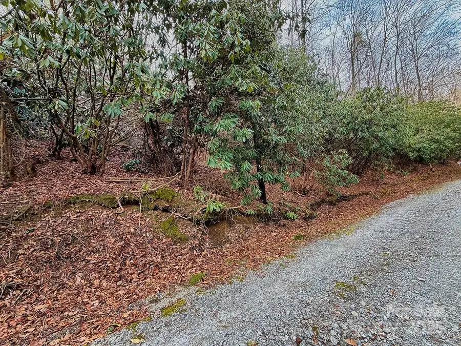 00 Lazy Bear Trail #35-36, Hendersonville, NC 28792 - #3