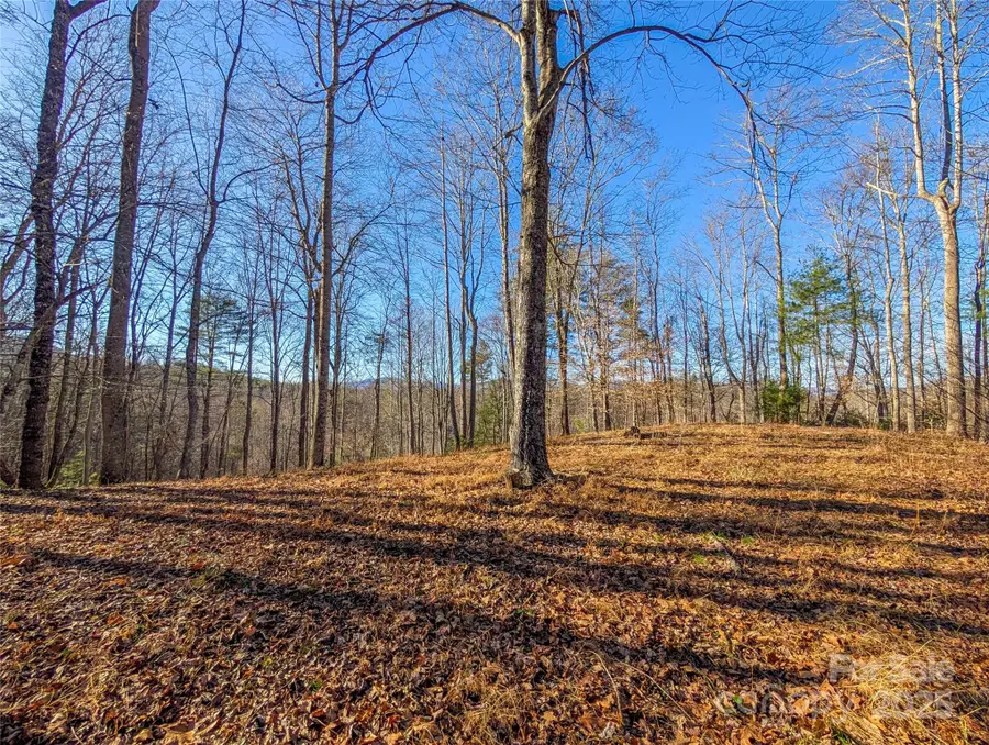 000 Bear Mountain Ridge, Green Mountain, NC 28740 - Image #2