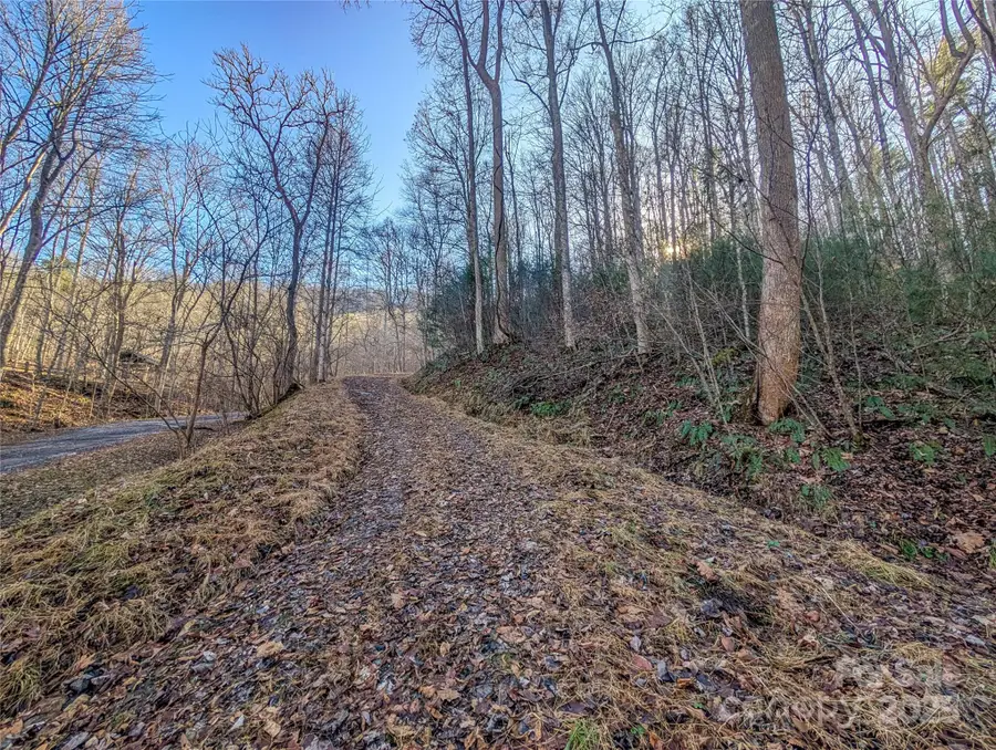 000 Bear Mountain Ridge, Green Mountain, NC 28740 - Image #3