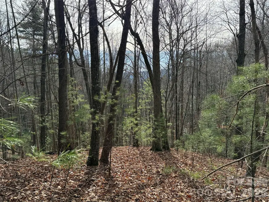 TBD Buck Mountain Road #21, Purlear, NC 28665 - #2