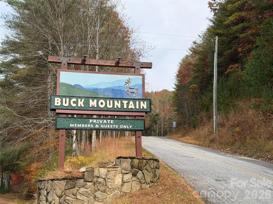 TBD Buck Mountain Road #21, Purlear, NC 28665 - #3