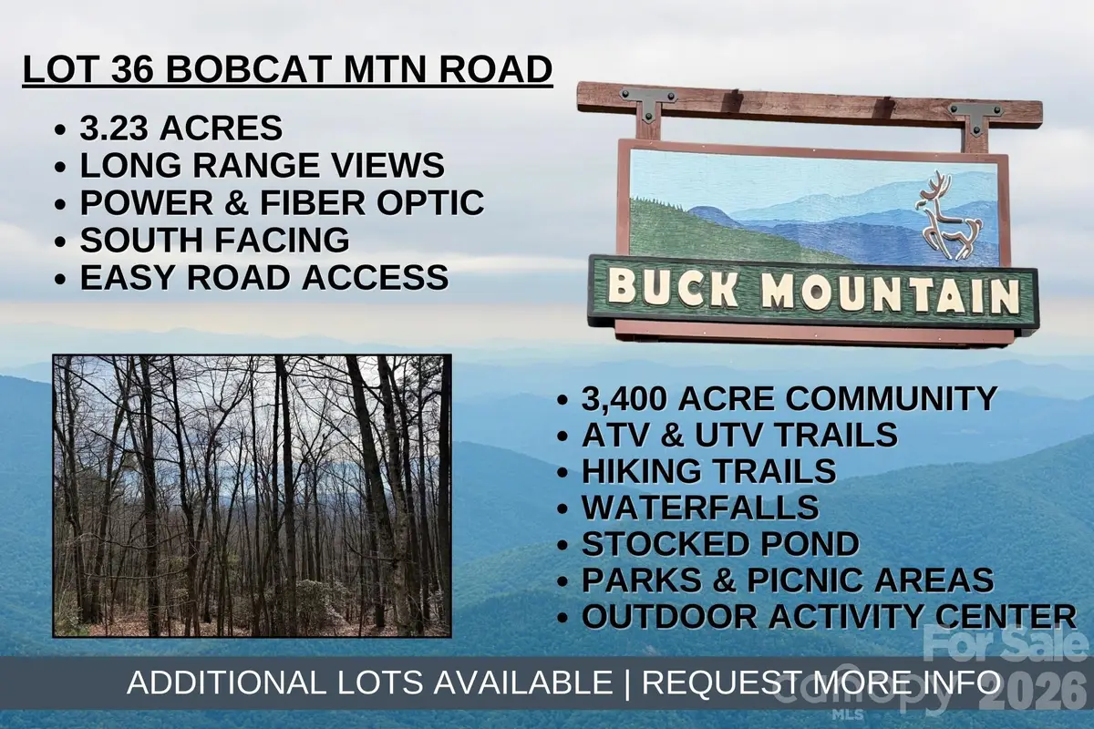 TBD Bobcat Mountain Road #36, Purlear, NC 28665 - #1