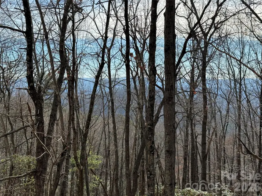 TBD Bobcat Mountain Road #36, Purlear, NC 28665 - #2