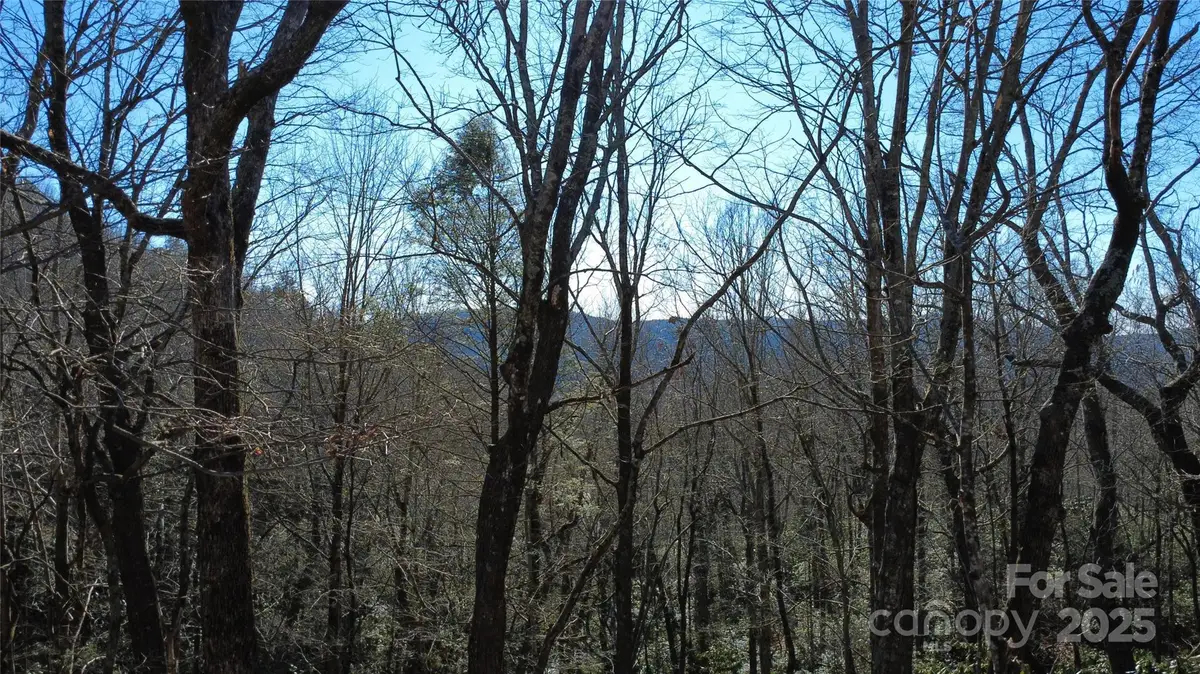Lot 26 Big Branch Road, Brevard, NC 28712 - Image #1