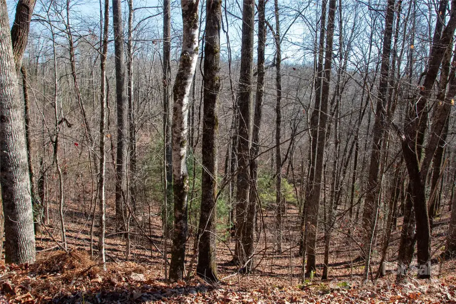 Lot 26 Big Branch Road, Brevard, NC 28712 - Image #2