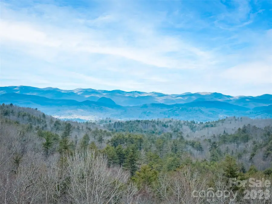 78 Big Sky Ridge, Pisgah Forest, NC 28768 - #2