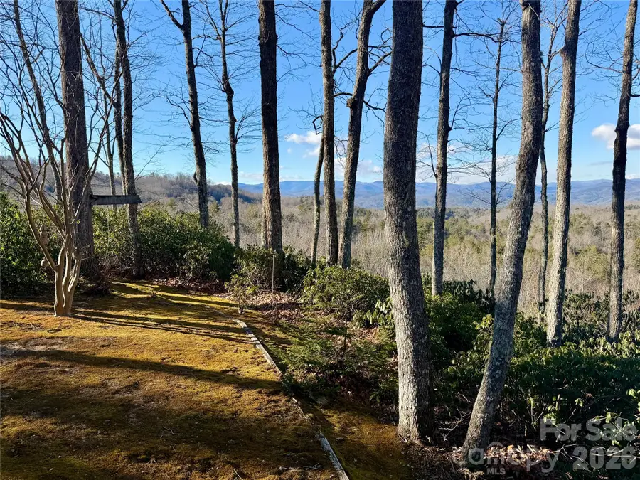78 Big Sky Ridge, Pisgah Forest, NC 28768 - #3