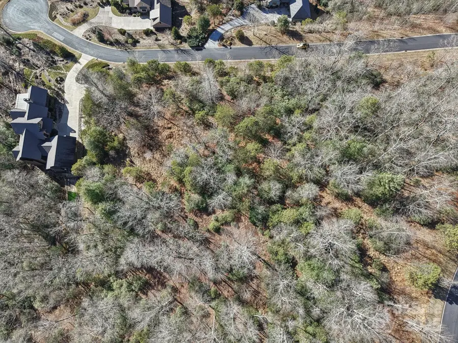 555 Stonefly Drive #145, Mills River, NC 28759 - Image #2