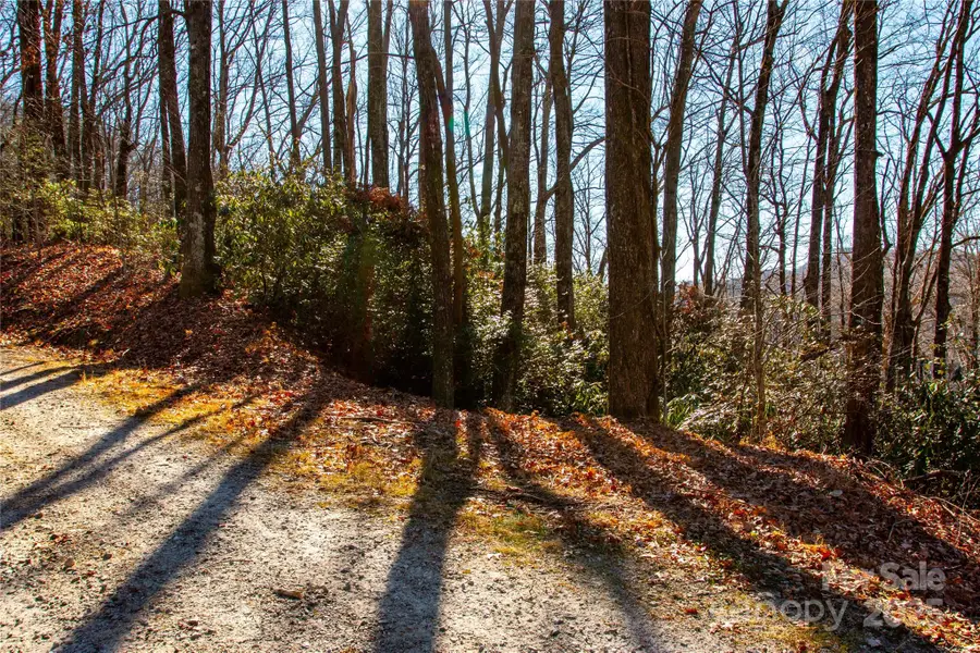 Lot 18 Joshua Road, Rosman, NC 28772 - Image #3