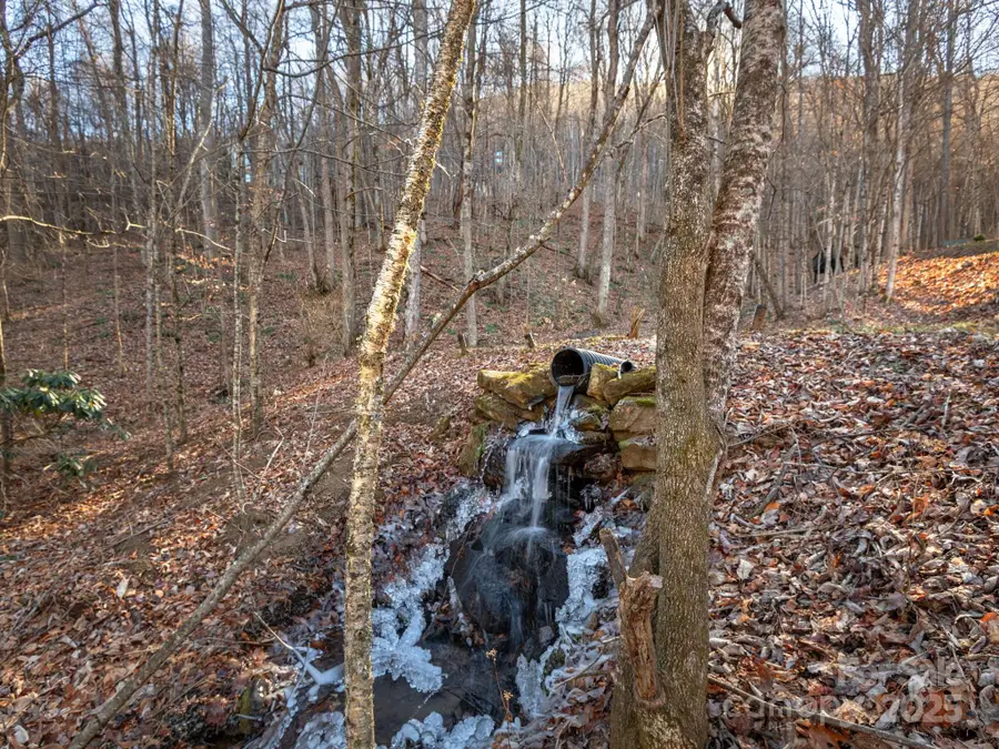 1591 Chestnut Flats Lane, Waynesville, NC 28786 - Image #2