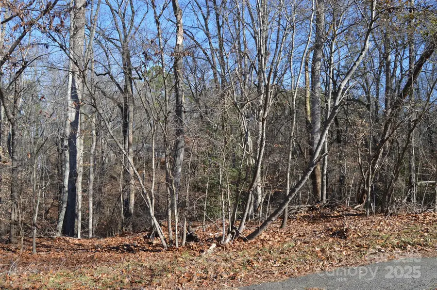 000 Sunset View Lane #58, Statesville, NC 28677 - Image #2