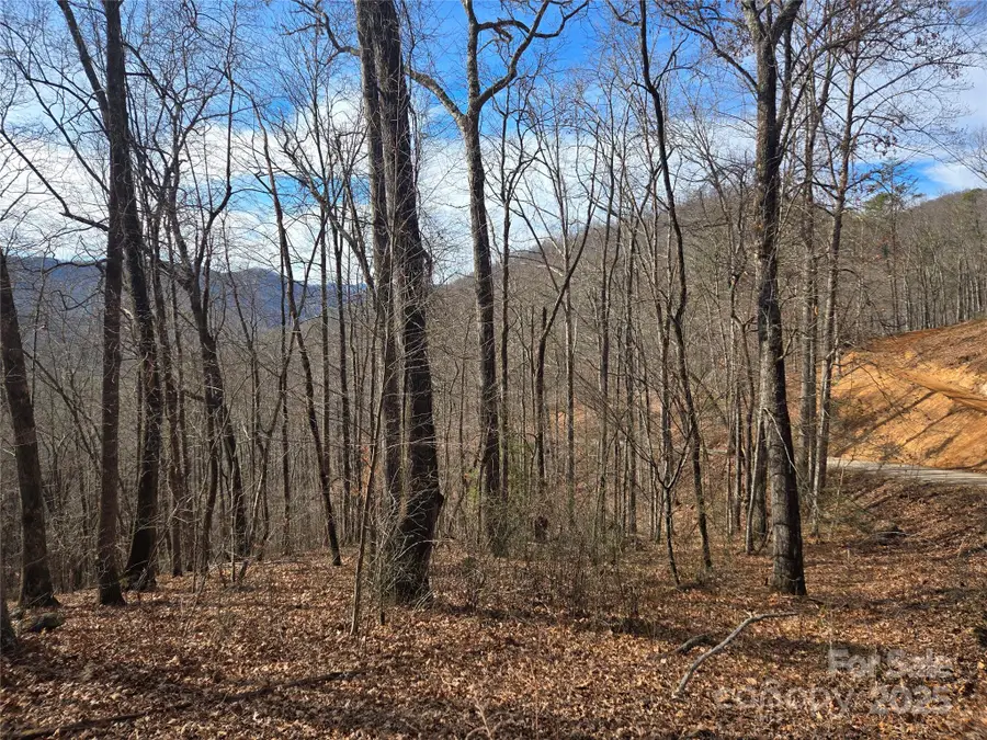 000 Stone Pillow Road #14B, Tuckasegee, NC 28783 - Image #2