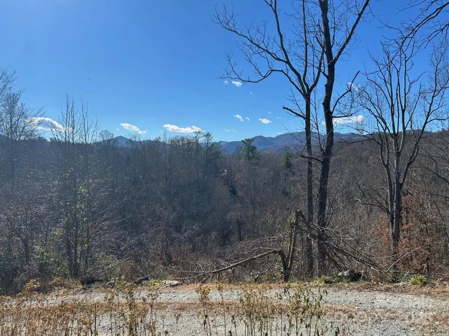 170 Starry Night Lane, Marshall, NC 28753 - Image #2