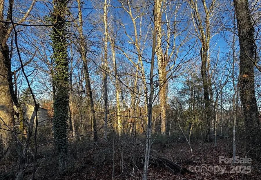 00 Westview Drive #14, Hendersonville Township, NC 28791 - Image #3