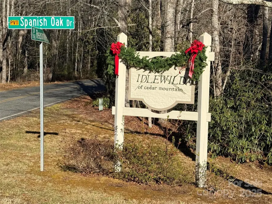 V/L Spanish Oak Drive #9, Cedar Mountain, NC 28718 - #2