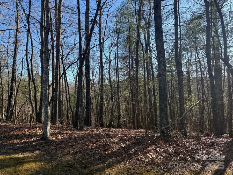 V/L Spanish Oak Drive #9, Cedar Mountain, NC 28718 - #3