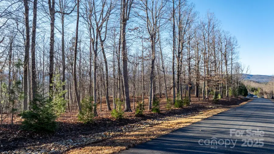 183 Woodgate Trail #103, Nebo, NC 28761 - #3