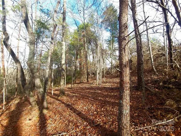 000 Skylark Lane #8, Tryon, NC 28782