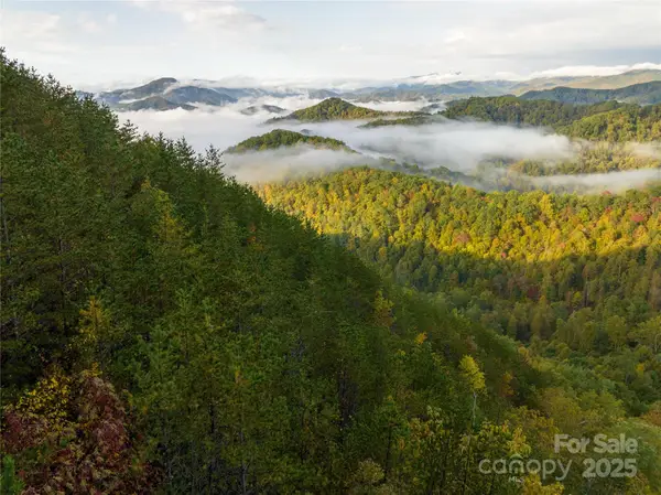 00000 Renfro Road, Green Mountain, NC 28740