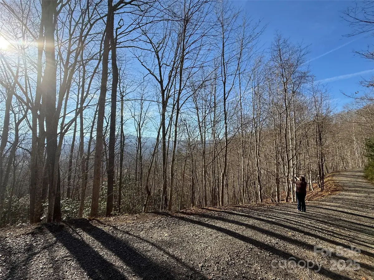 22,23,28 Brer Rabbit Trail, Waynesville, NC 28785 - Image #1